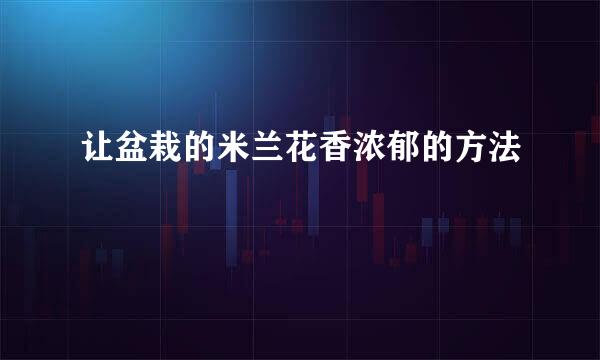 让盆栽的米兰花香浓郁的方法