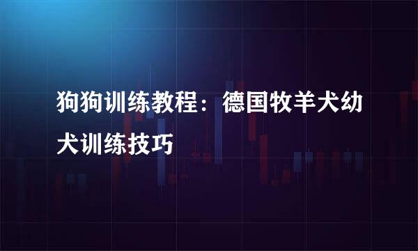 狗狗训练教程：德国牧羊犬幼犬训练技巧