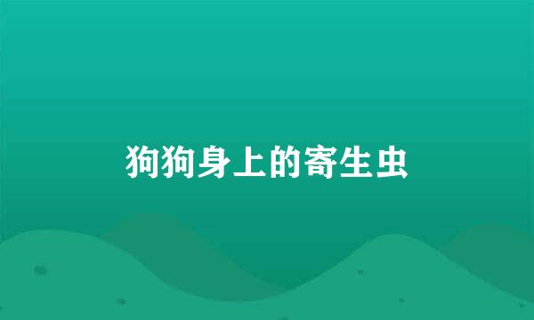 狗狗身上的寄生虫