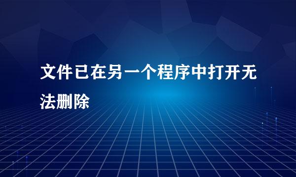 文件已在另一个程序中打开无法删除