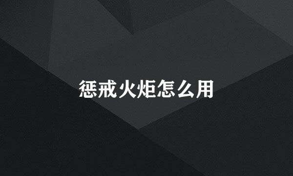 惩戒火炬怎么用