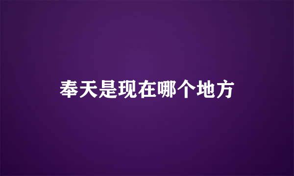 奉天是现在哪个地方