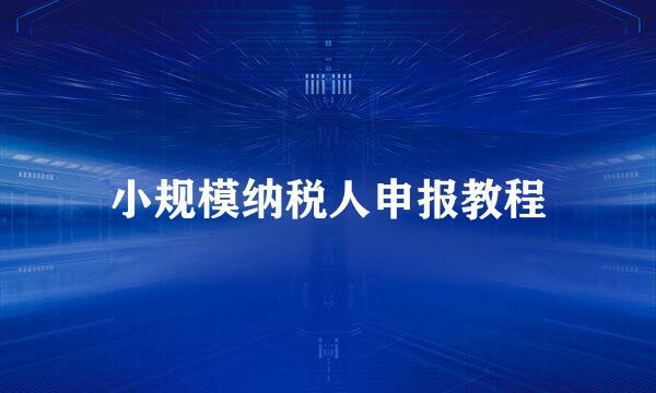小规模纳税人申报教程