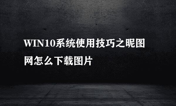 WIN10系统使用技巧之昵图网怎么下载图片