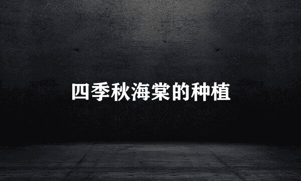 四季秋海棠的种植