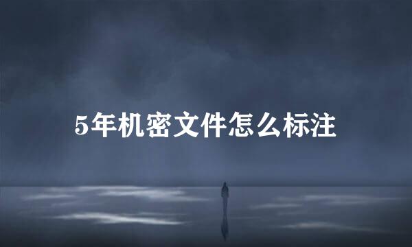 5年机密文件怎么标注
