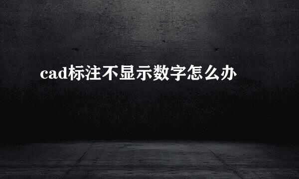 cad标注不显示数字怎么办