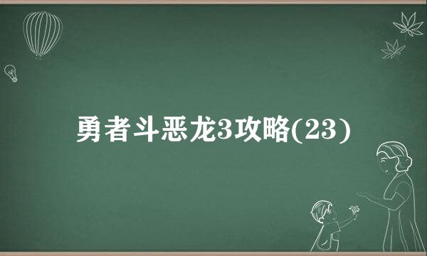 勇者斗恶龙3攻略(23)
