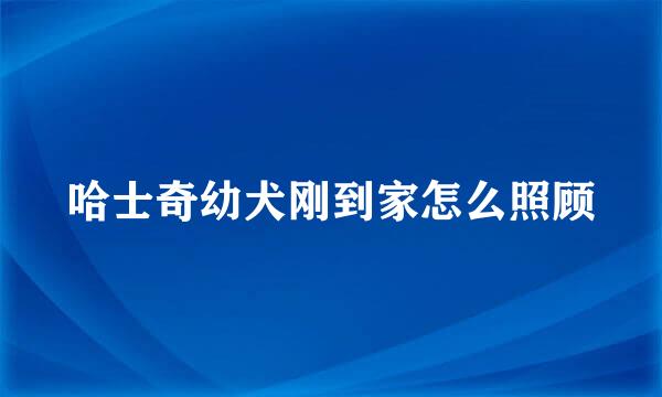 哈士奇幼犬刚到家怎么照顾