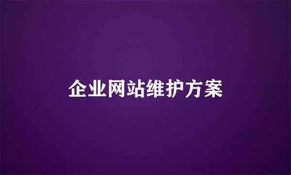 企业网站维护方案