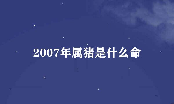 2007年属猪是什么命