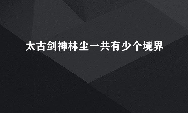 太古剑神林尘一共有少个境界