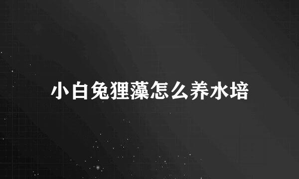 小白兔狸藻怎么养水培