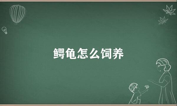 鳄龟怎么饲养