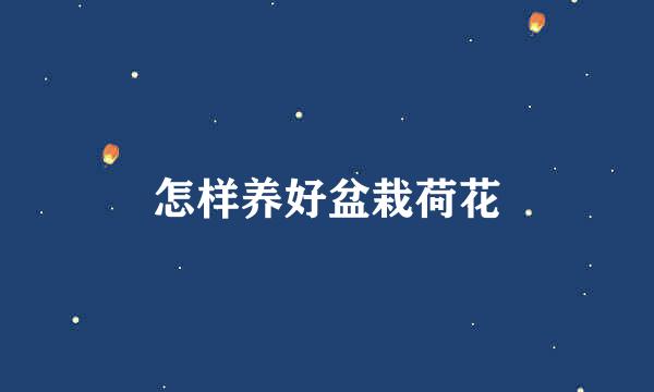 怎样养好盆栽荷花