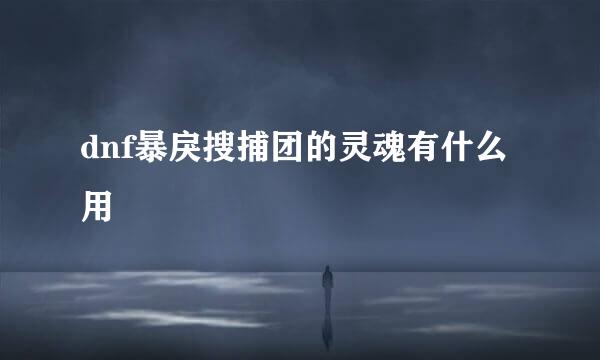 dnf暴戾搜捕团的灵魂有什么用