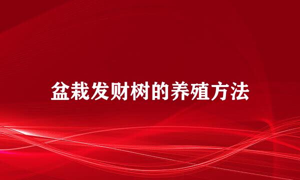 盆栽发财树的养殖方法