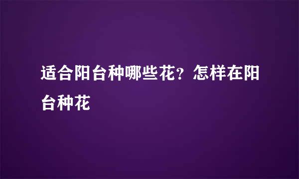 适合阳台种哪些花？怎样在阳台种花