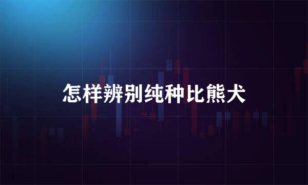 怎样辨别纯种比熊犬