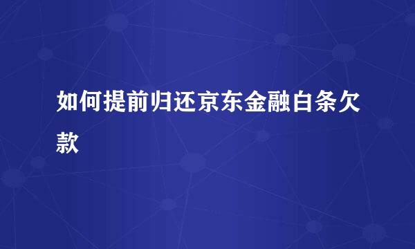 如何提前归还京东金融白条欠款