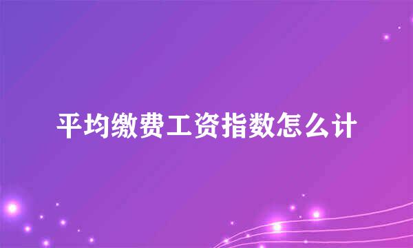 平均缴费工资指数怎么计