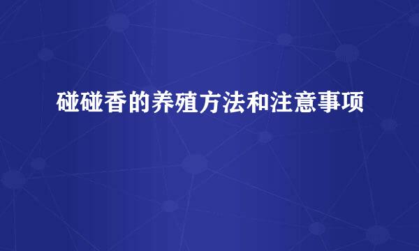 碰碰香的养殖方法和注意事项