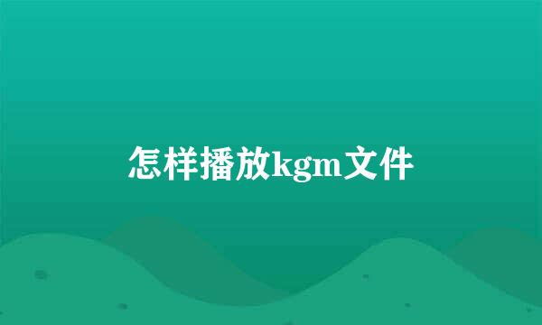 怎样播放kgm文件