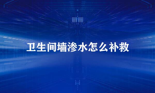 卫生间墙渗水怎么补救