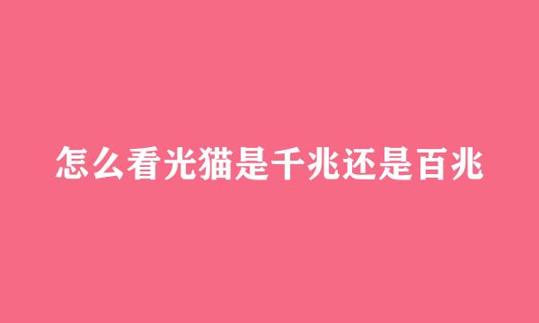 怎么看光猫是千兆还是百兆