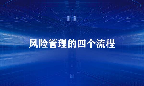 风险管理的四个流程