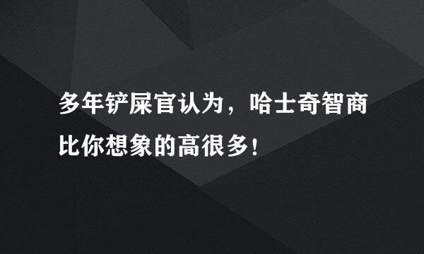 多年铲屎官认为，哈士奇智商比你想象的高很多！
