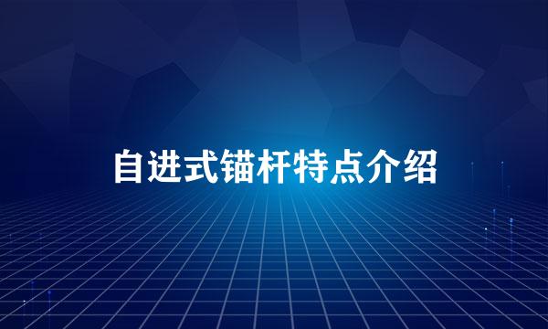 自进式锚杆特点介绍