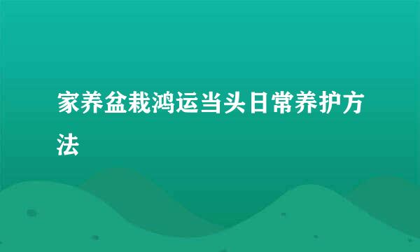 家养盆栽鸿运当头日常养护方法