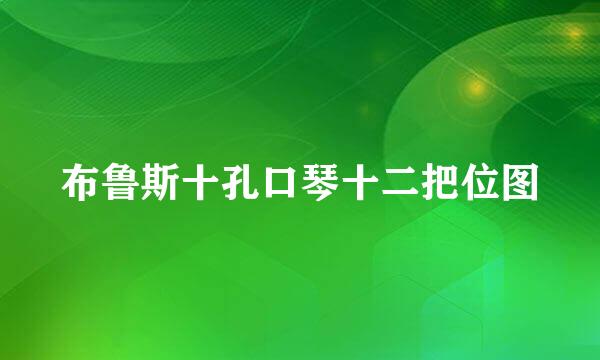布鲁斯十孔口琴十二把位图