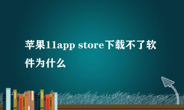 苹果11app store下载不了软件为什么