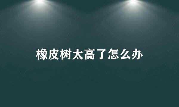 橡皮树太高了怎么办