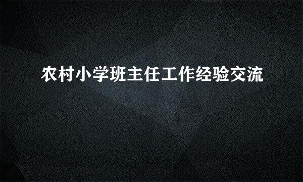 农村小学班主任工作经验交流