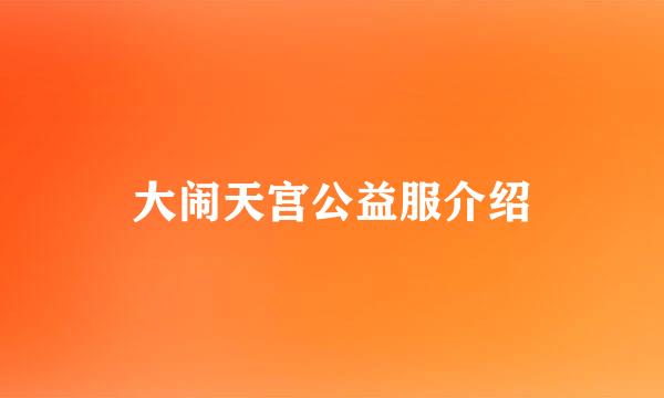 大闹天宫公益服介绍