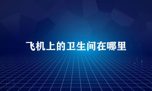 飞机上的卫生间在哪里
