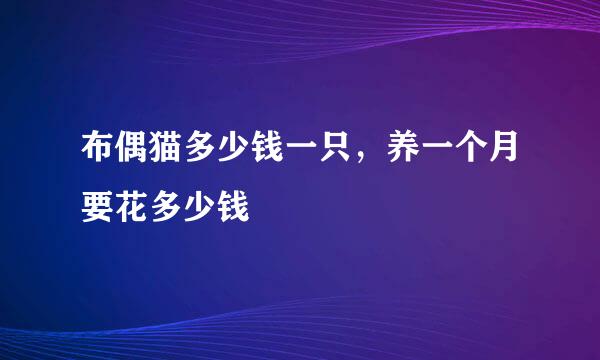 布偶猫多少钱一只，养一个月要花多少钱