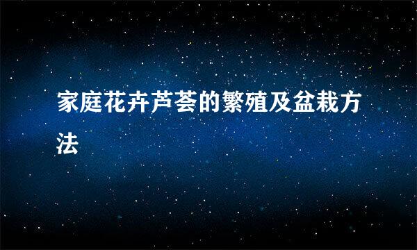 家庭花卉芦荟的繁殖及盆栽方法