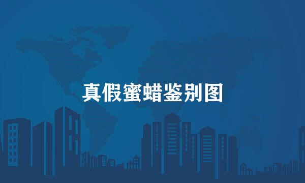 真假蜜蜡鉴别图