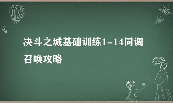 决斗之城基础训练1-14同调召唤攻略