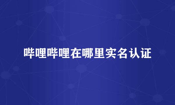 哔哩哔哩在哪里实名认证