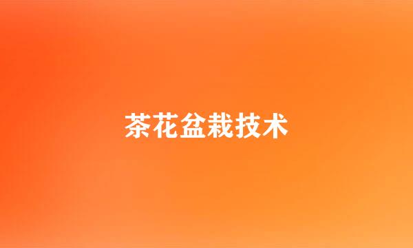 茶花盆栽技术