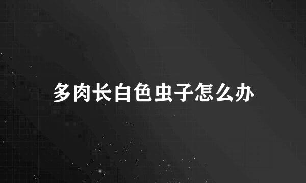 多肉长白色虫子怎么办