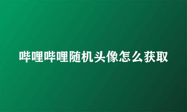 哔哩哔哩随机头像怎么获取