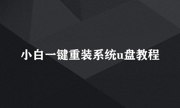 小白一键重装系统u盘教程