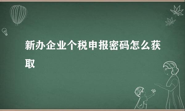 新办企业个税申报密码怎么获取