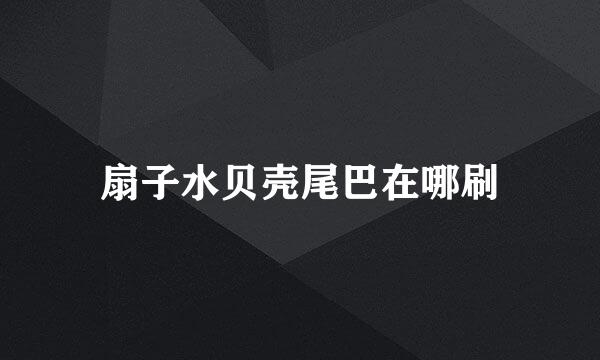 扇子水贝壳尾巴在哪刷